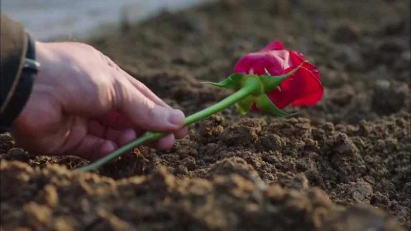 Кадры из сериала Госпожа Фазилет и ее дочери (2017)